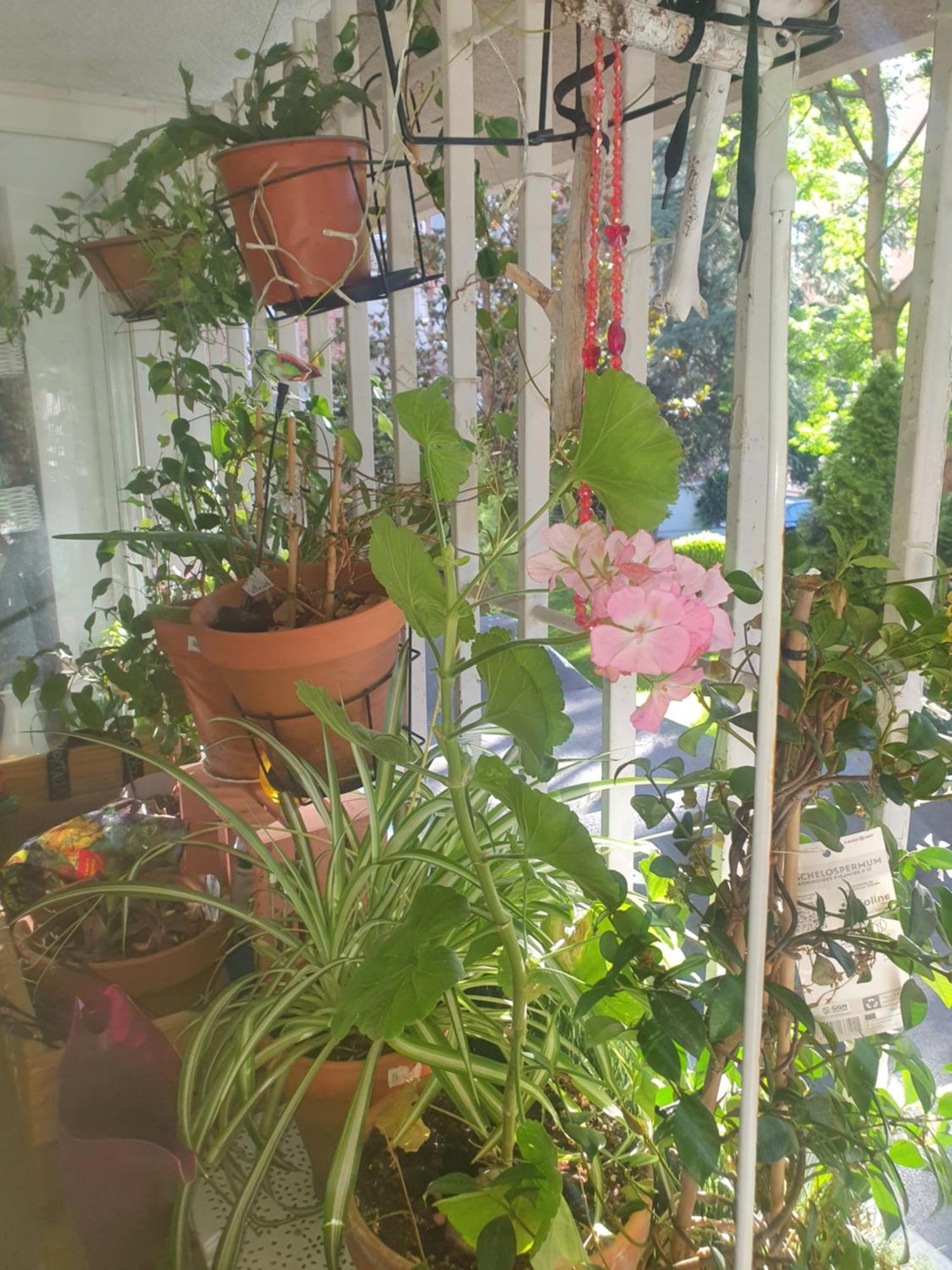 Ferienwohnung Libros Y Plantas A 5 Minutos Del Centro En Bus Madrid Exterior foto